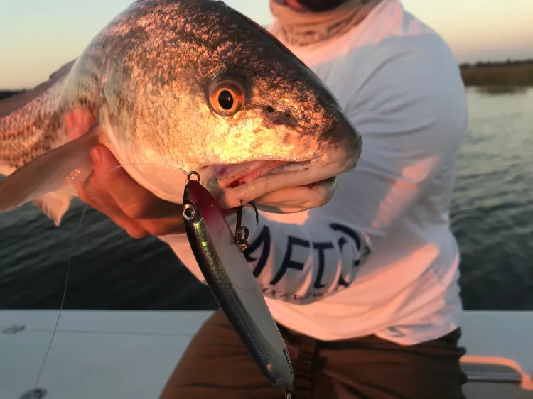 Reel-Chica-fishing-charter